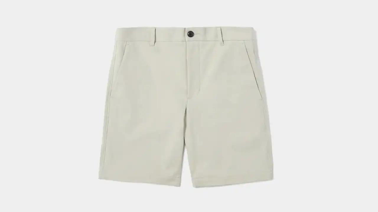 Everlane Performance Chino Shorts